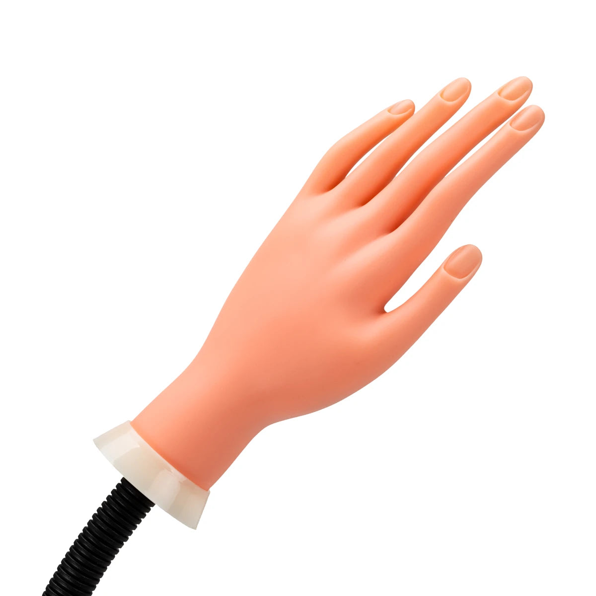 Übungshanden für Nageldesign, Hautfarben