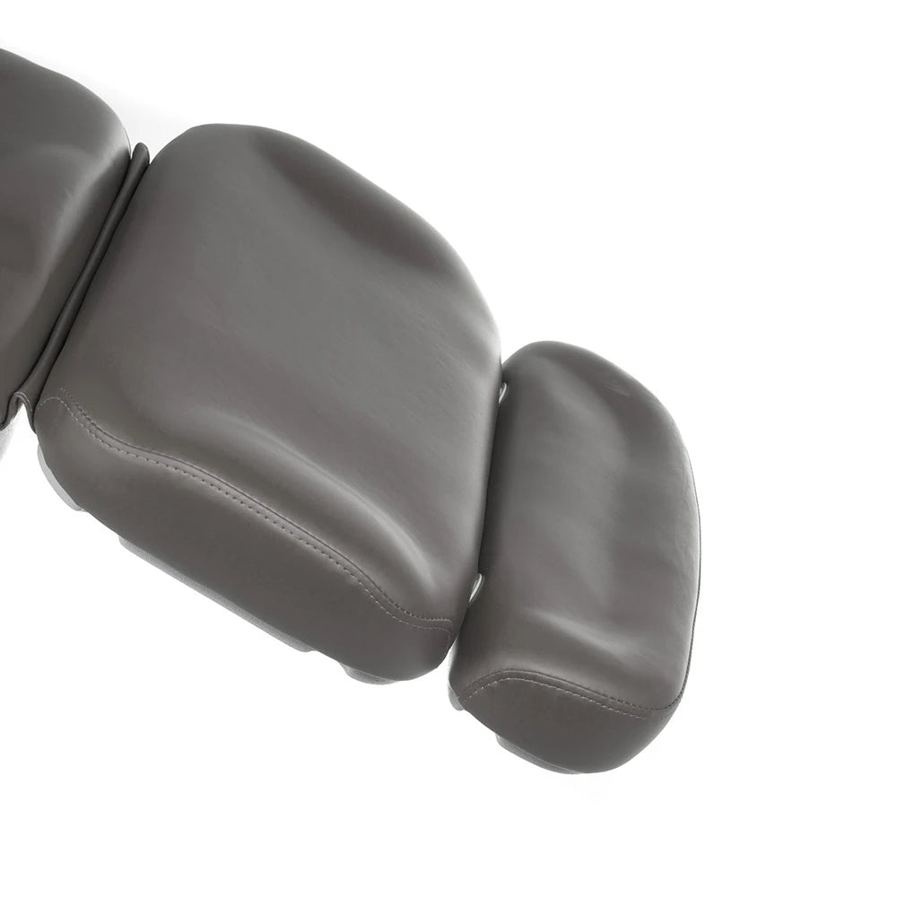 Beauty bed-couche MODENA BD-8194, 3 motors, gray